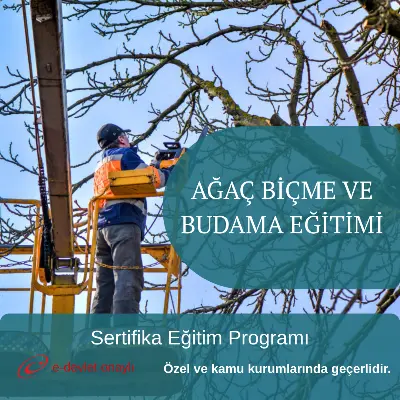 AĞAÇ BİÇME VE BUDAMA EĞİTİMİ