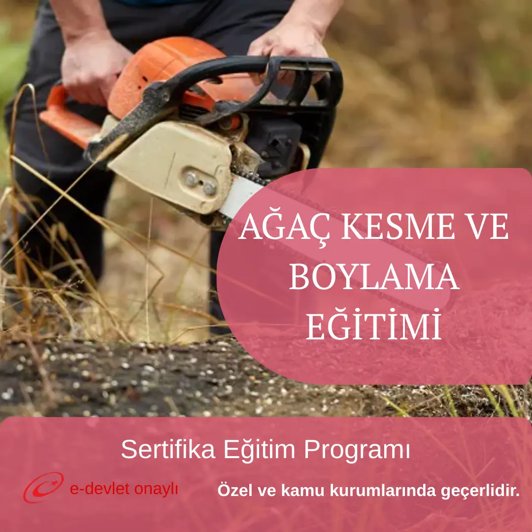 AĞAÇ KESME VE BOYLAMA EĞİTİMİ