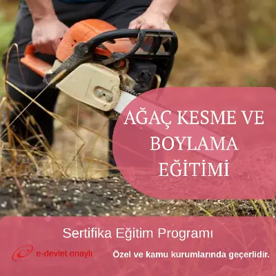 AĞAÇ KESME VE BOYLAMA EĞİTİMİ