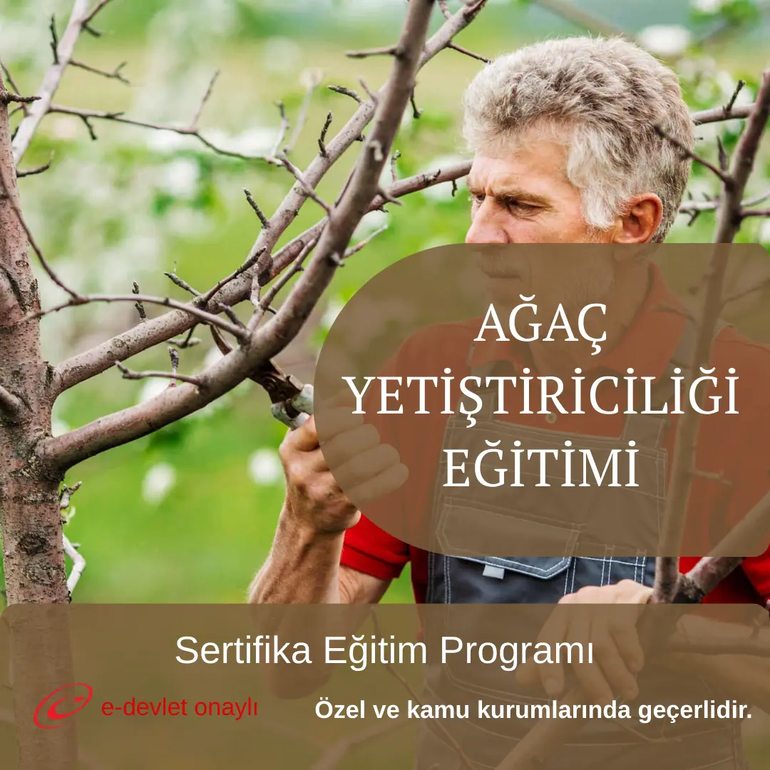 AĞAÇ YETİŞTİRİCİLİĞİ EĞİTİMİ