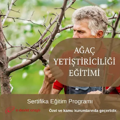 AĞAÇ YETİŞTİRİCİLİĞİ EĞİTİMİ