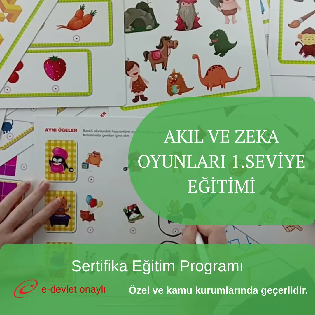AKIL VE ZEKA OYUNLARI 1.SEVİYE EĞİTİMİ
