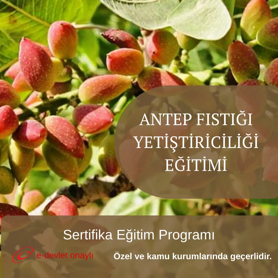 ANTEP FISTIĞI YETİŞTİRİCİLİĞİ EĞİTİMİ