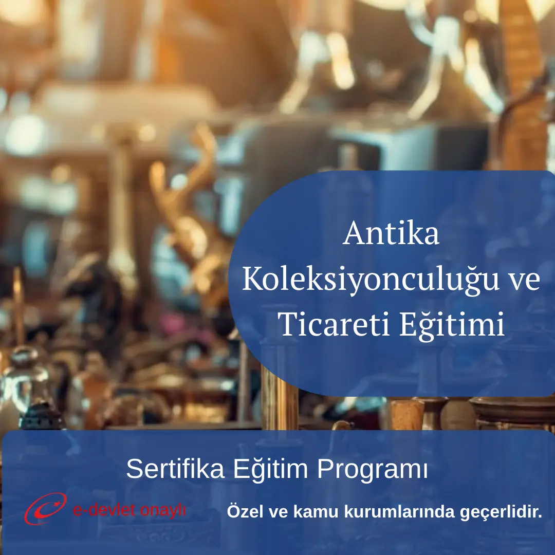 Antika Koleksiyonculuğu ve Ticareti Eğitimi