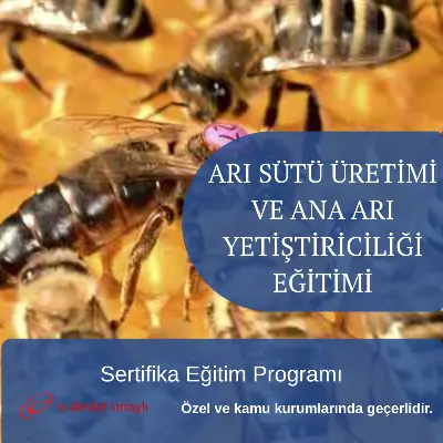 ARI SÜTÜ ÜRETİMİ VE ANA ARI YETİŞTİRİCİLİĞİ EĞİTİMİ