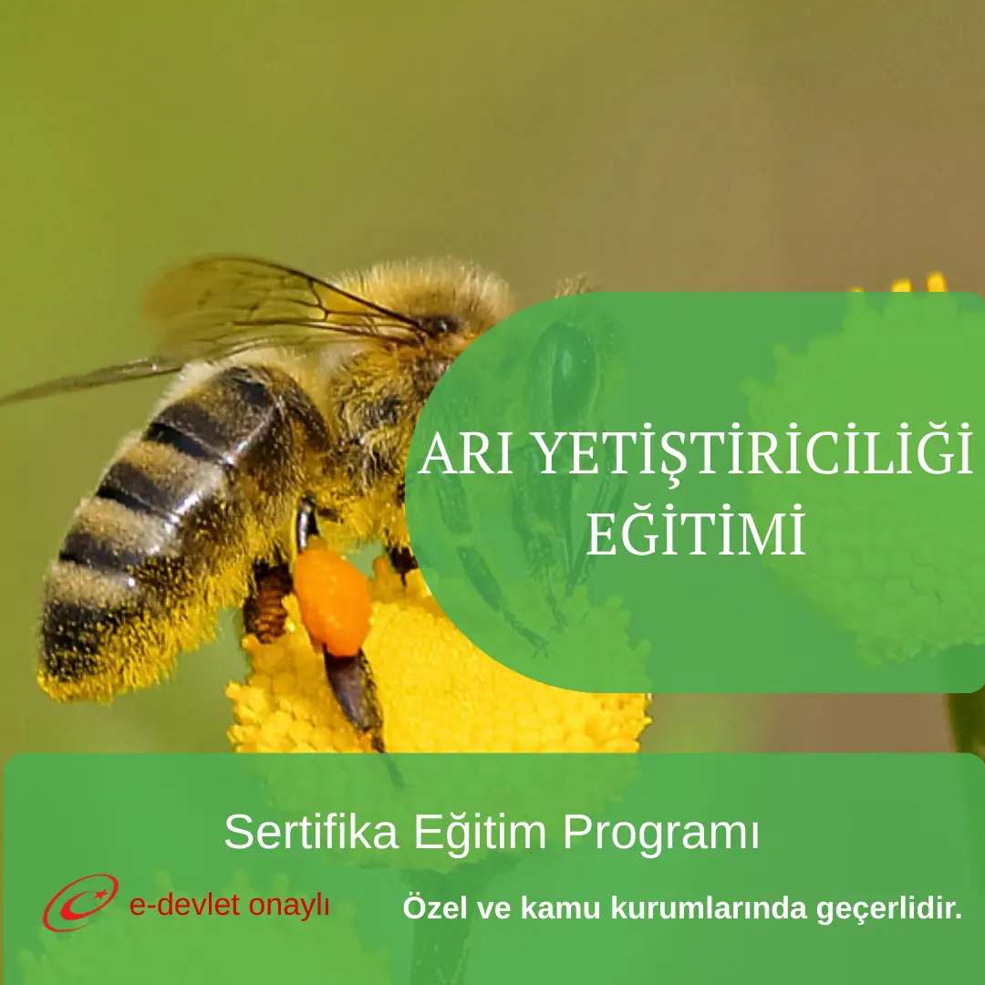 ARI YETİŞTİRİCİLİĞİ EĞİTİMİ