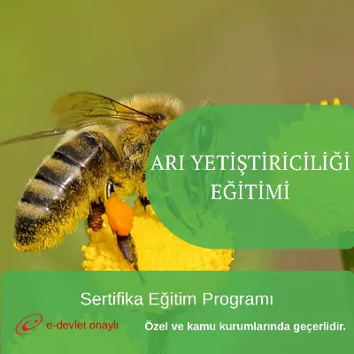 ARI YETİŞTİRİCİLİĞİ EĞİTİMİ