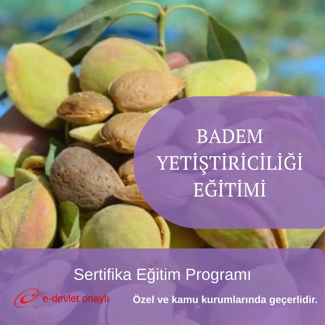 BADEM YETİŞTİRİCİLİĞİ EĞİTİMİ