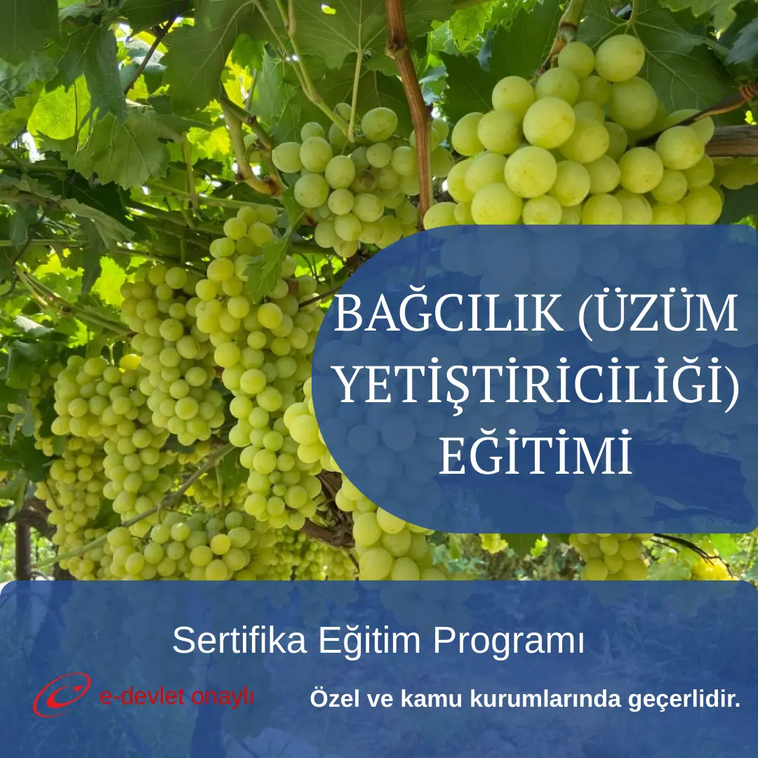 BAĞCILIK (ÜZÜM YETİŞTİRİCİLİĞİ) EĞİTİMİ
