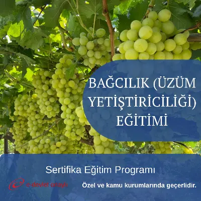 BAĞCILIK (ÜZÜM YETİŞTİRİCİLİĞİ) EĞİTİMİ