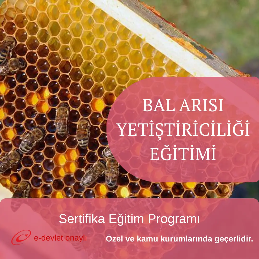BAL ARISI YETİŞTİRİCİLİĞİ EĞİTİMİ