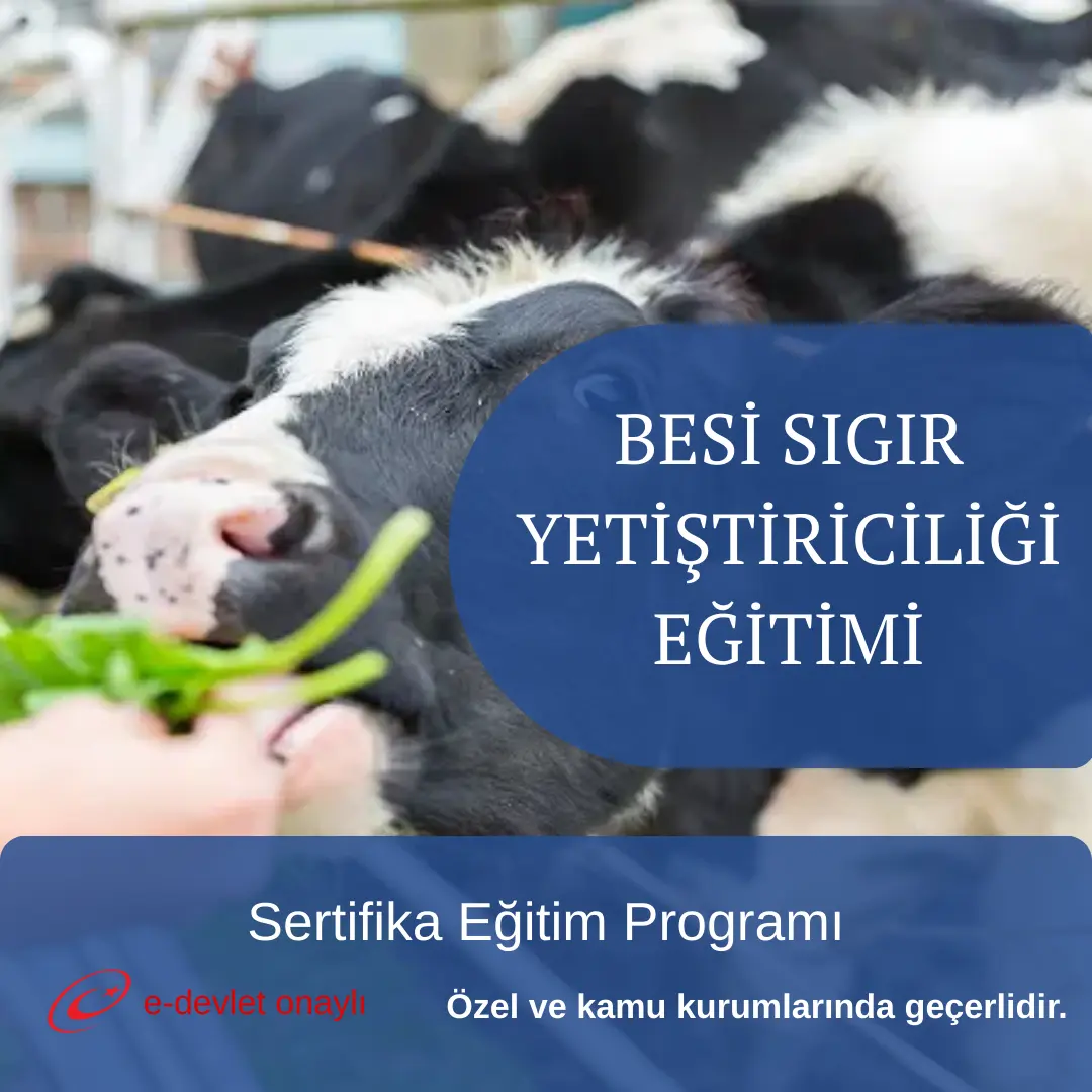 BESİ SIGIR YETİŞTİRİCİLİĞİ EĞİTİMİ