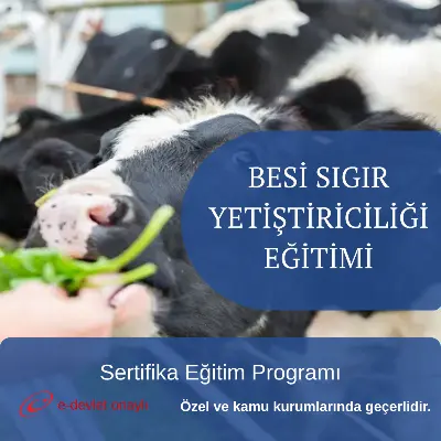 BESİ SIGIR YETİŞTİRİCİLİĞİ EĞİTİMİ