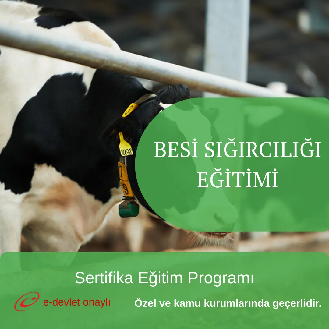 BESİ SIĞIRCILIĞI EĞİTİMİ