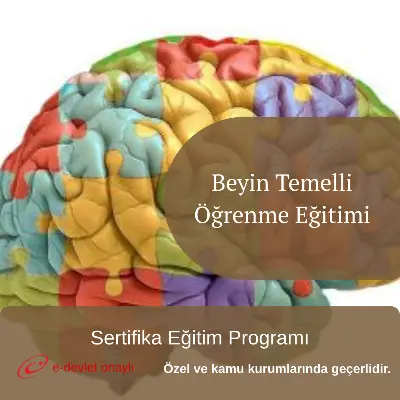 Beyin Temelli Öğrenme Eğitimi