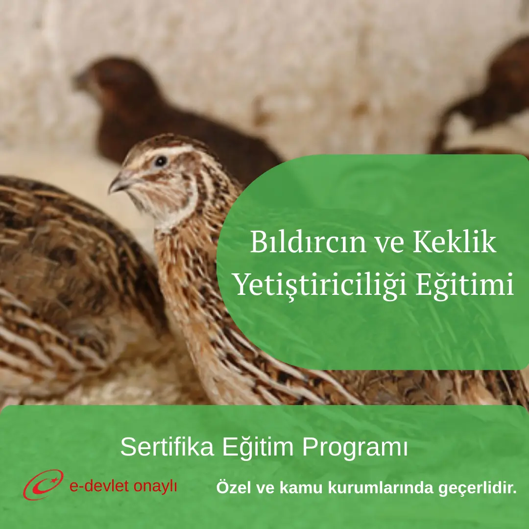 Bıldırcın ve Keklik Yetiştiriciliği Eğitimi