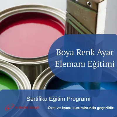 Boya Renk Ayar Elemanı Eğitimi