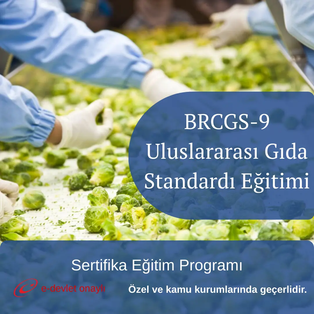 BRCGS-9 Uluslararası Gıda Standardı Eğitimi