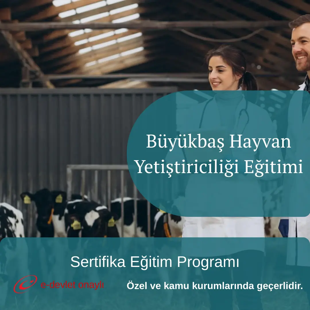 Büyükbaş Hayvan Yetiştiriciliği Eğitimi