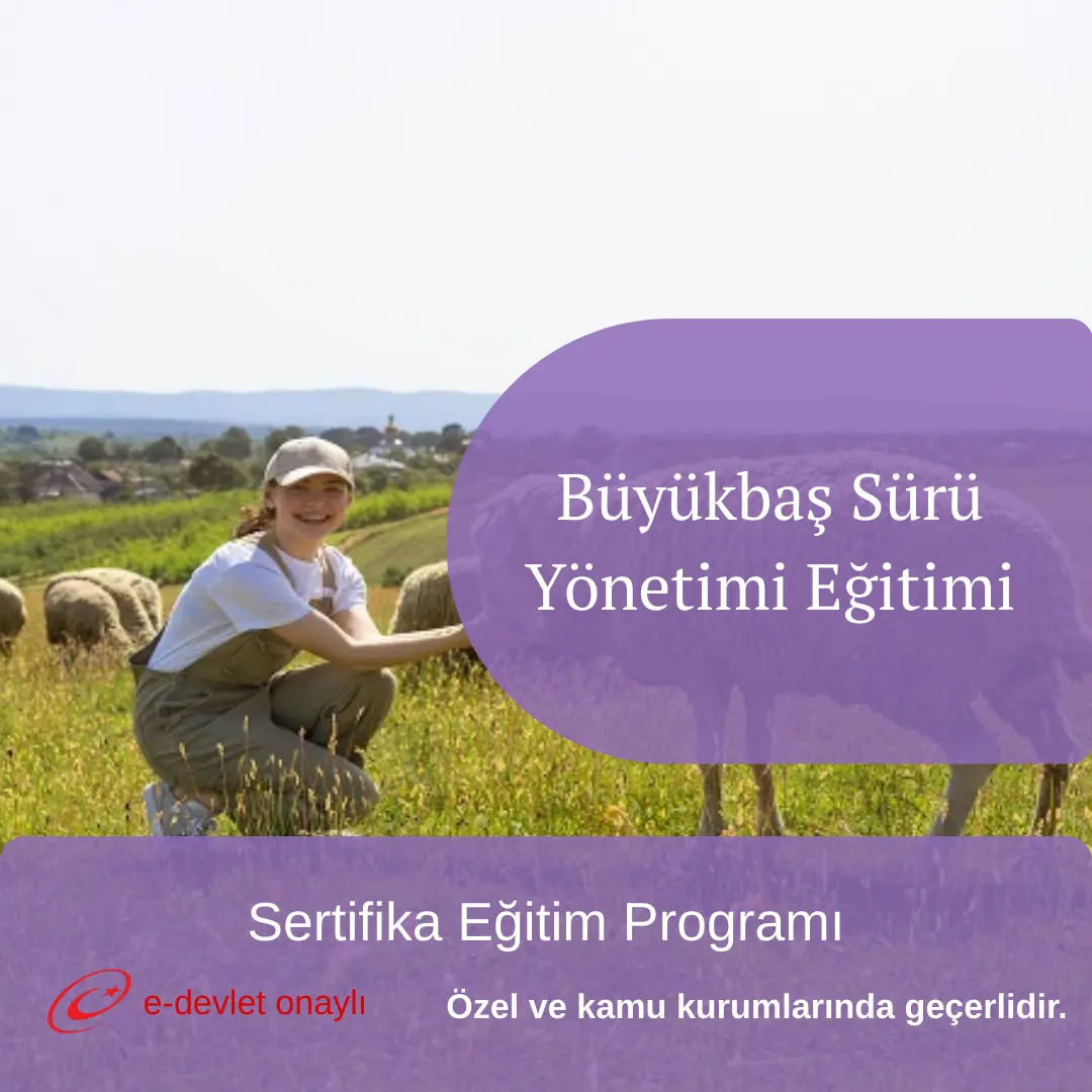 Büyükbaş Sürü Yönetimi Eğitimi