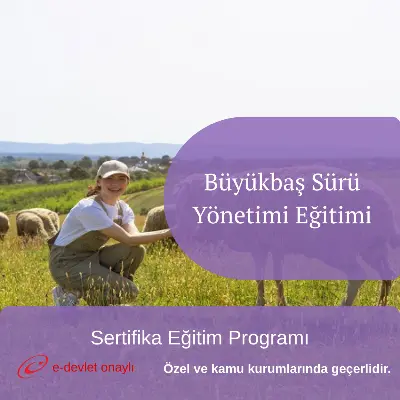 Büyükbaş Sürü Yönetimi Eğitimi