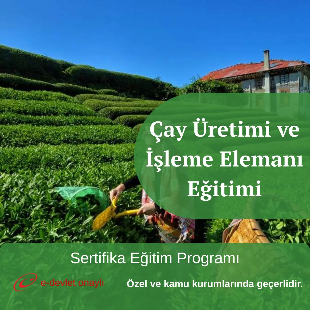 Çay Üretimi ve İşleme Elemanı Eğitimi
