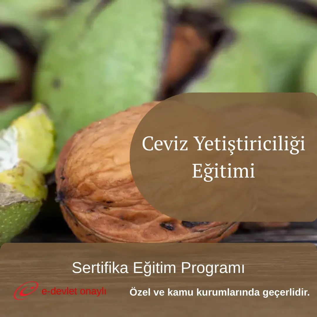 Ceviz Yetiştiriciliği Eğitimi