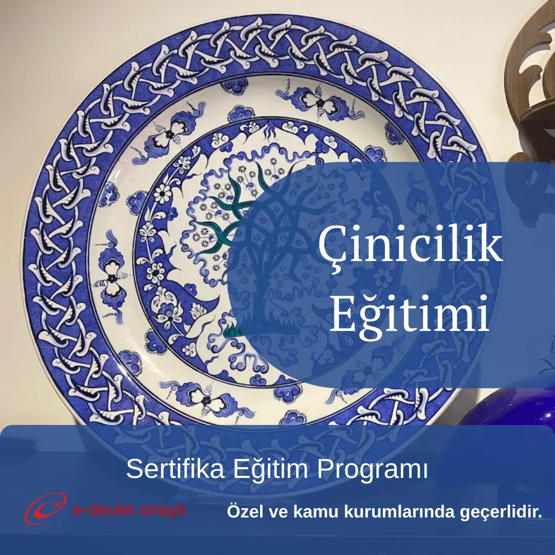 Çinicilik Eğitimi