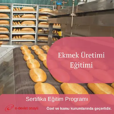 Ekmek Üretimi Eğitimi