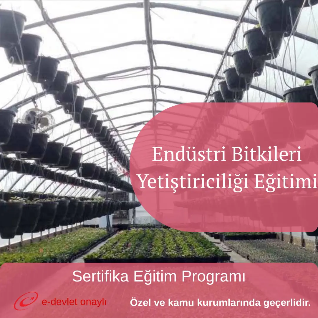 Endüstri Bitkileri Yetiştiriciliği Eğitimi
