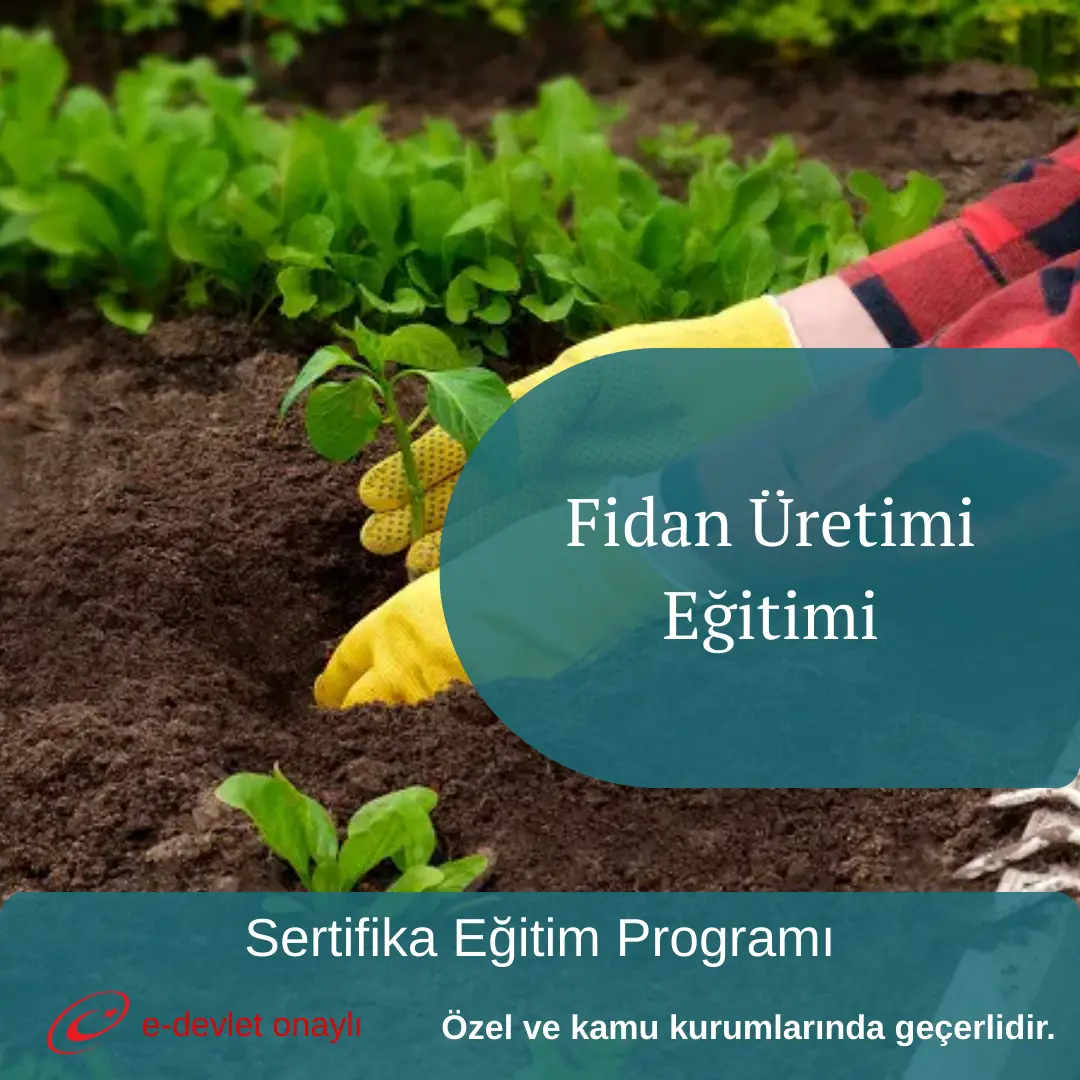 Fidan Üretimi Eğitimi