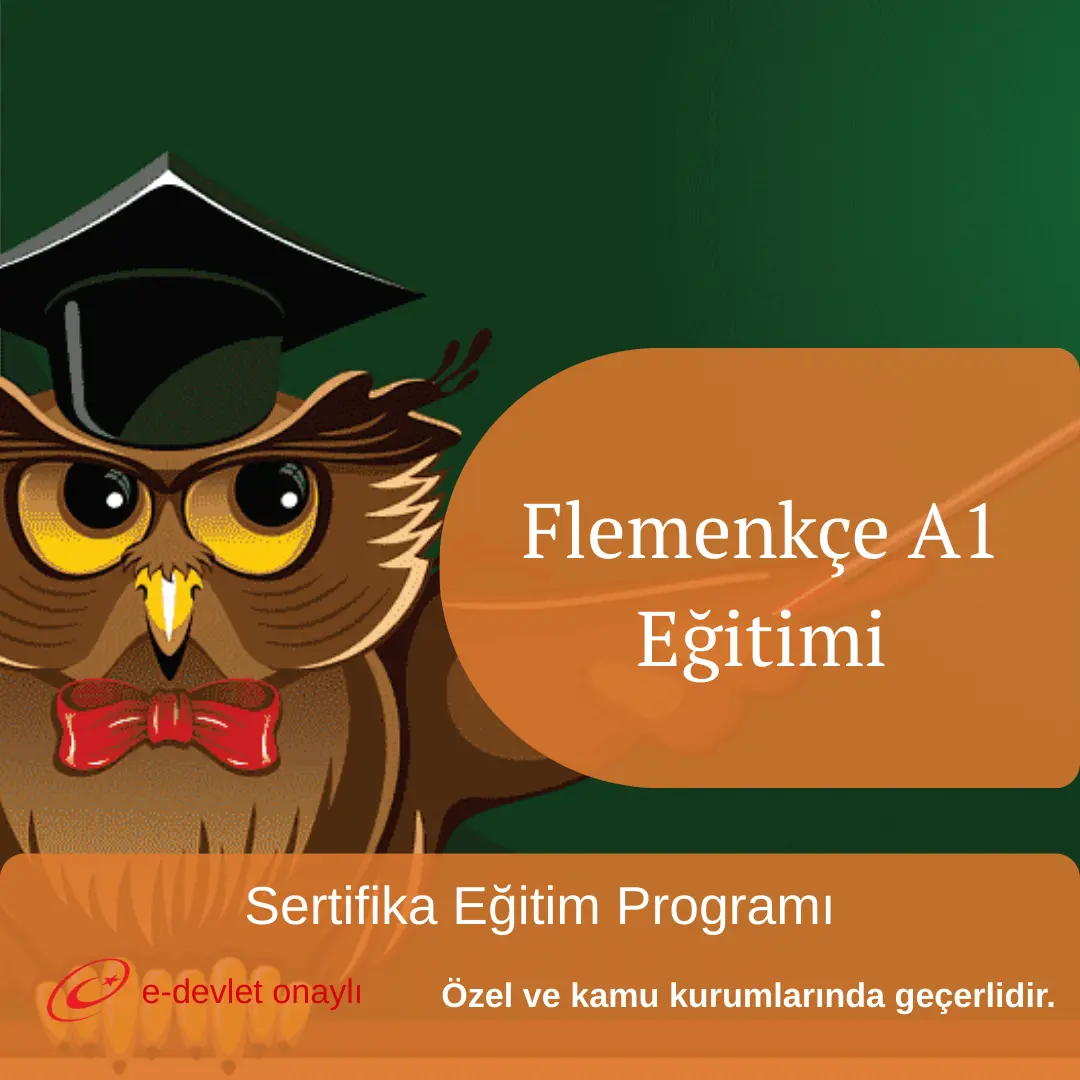 Flemenkçe A1 Eğitimi