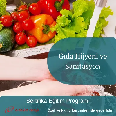 Gıda Hijyeni ve Sanitasyon