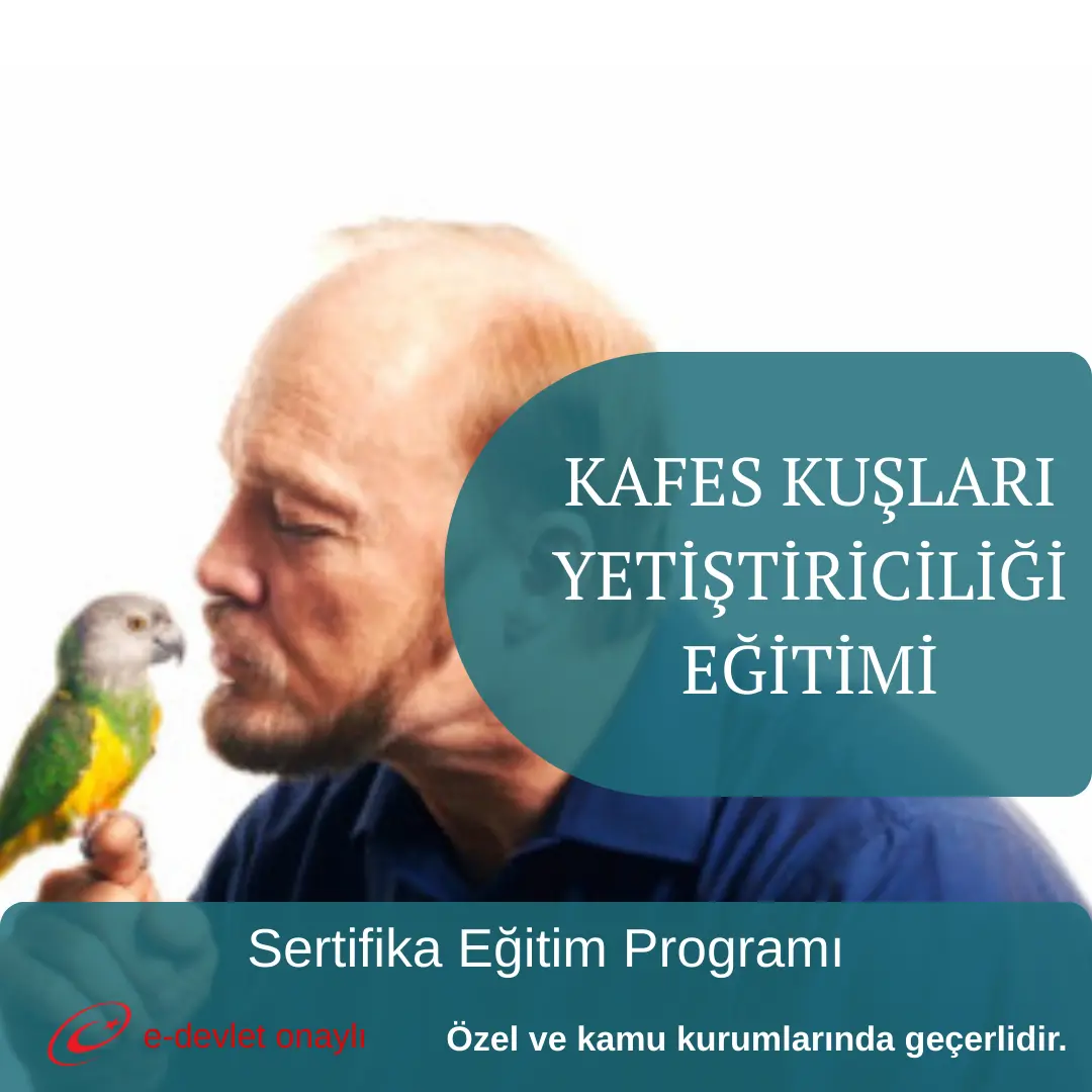 KAFES KUŞLARI YETİŞTİRİCİLİĞİ EĞİTİMİ