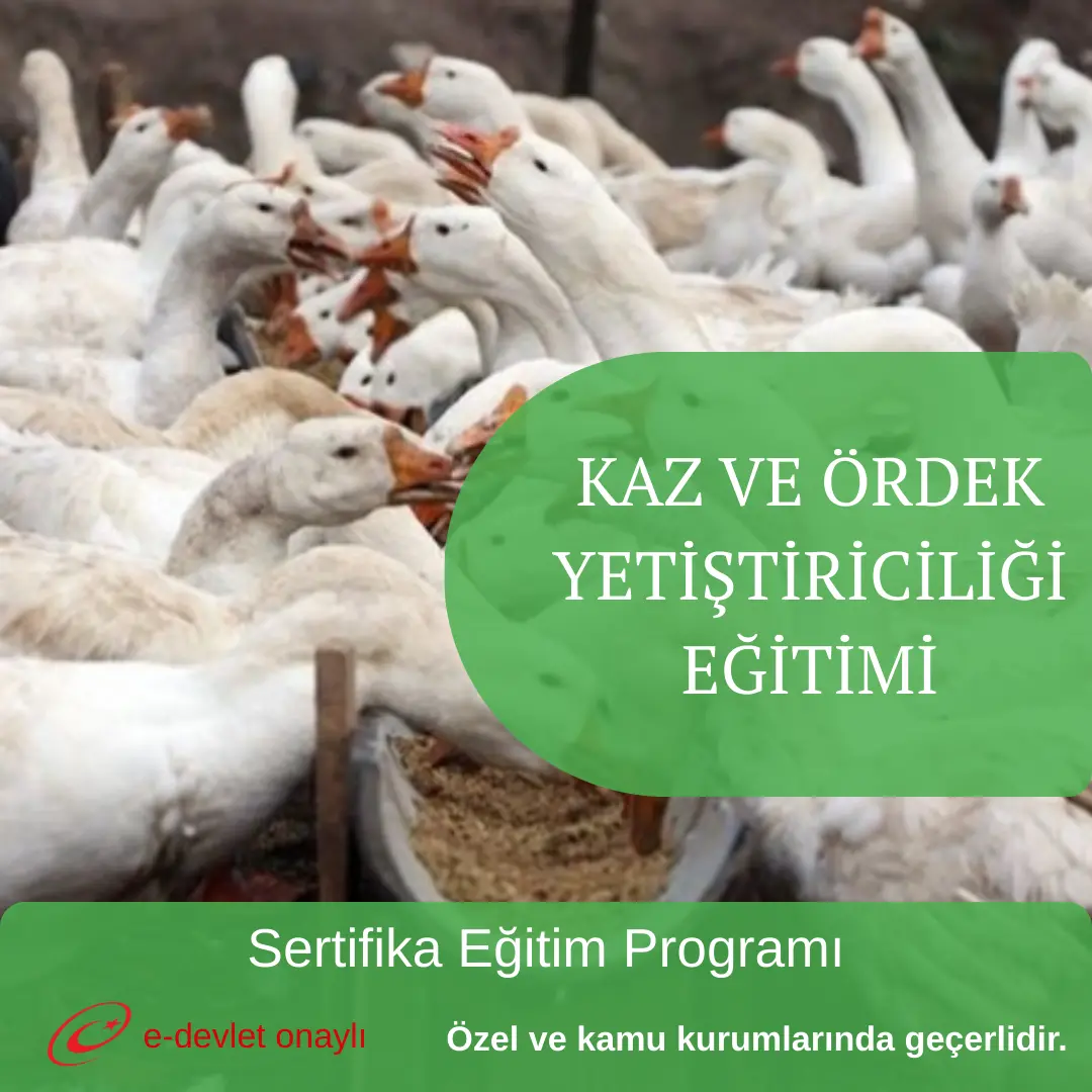 KAZ VE ÖRDEK YETİŞTİRİCİLİĞİ EĞİTİMİ