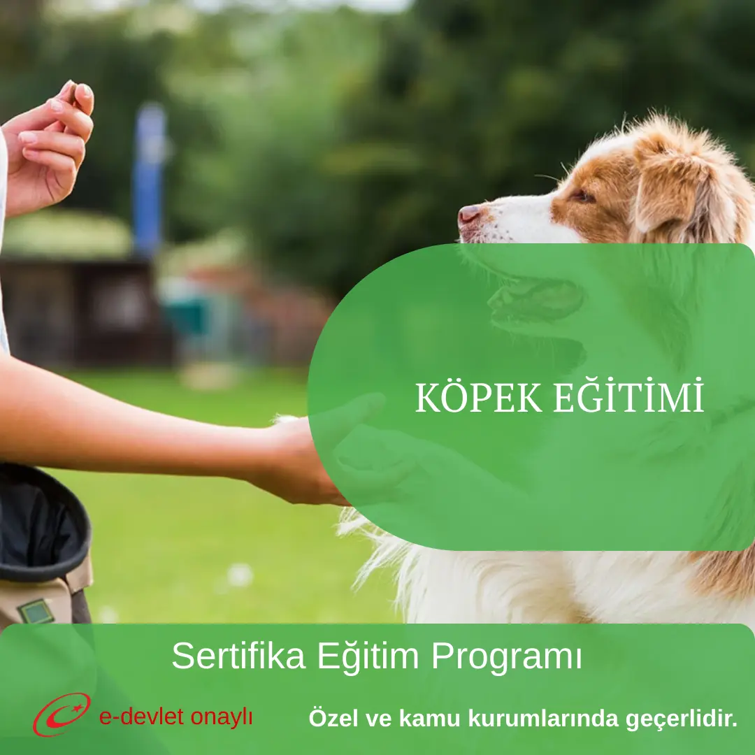KÖPEK EĞİTİMİ