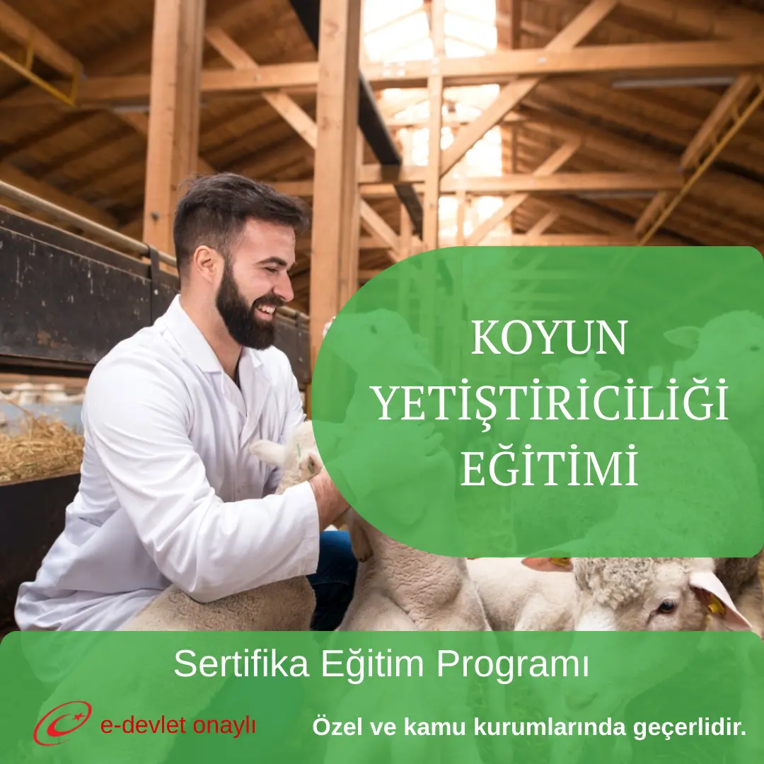 KOYUN YETİŞTİRİCİLİĞİ EĞİTİMİ