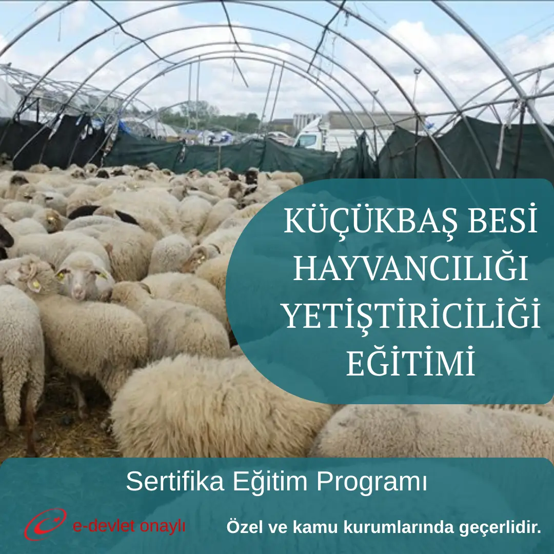 KÜÇÜKBAŞ BESİ HAYVANCILIĞI YETİŞTİRİCİLİĞİ EĞİTİMİ