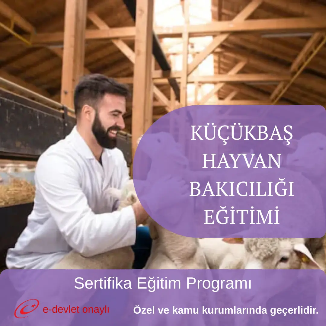 KÜÇÜKBAŞ HAYVAN BAKICILIĞI EĞİTİMİ