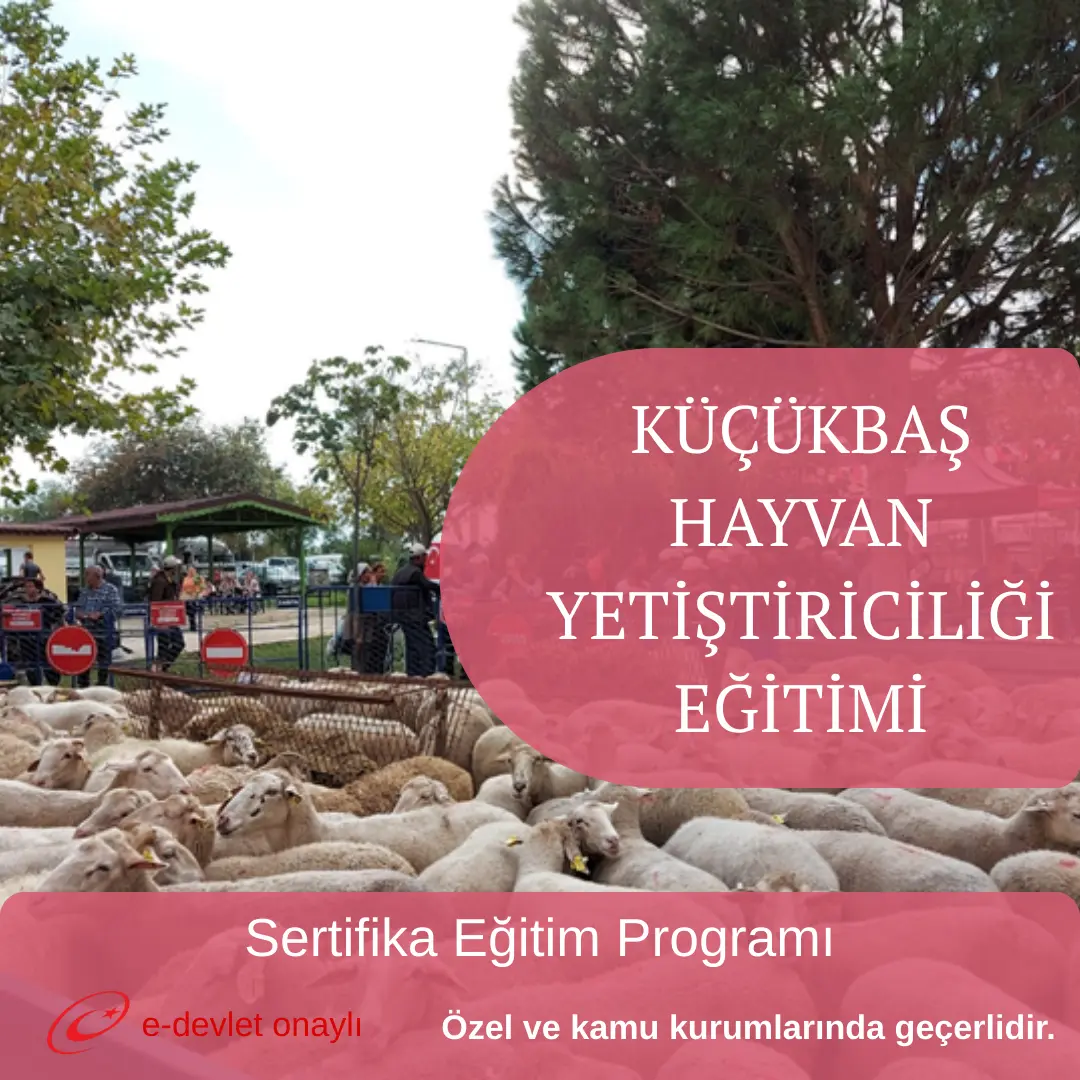 KÜÇÜKBAŞ HAYVAN YETİŞTİRİCİLİĞİ EĞİTİMİ