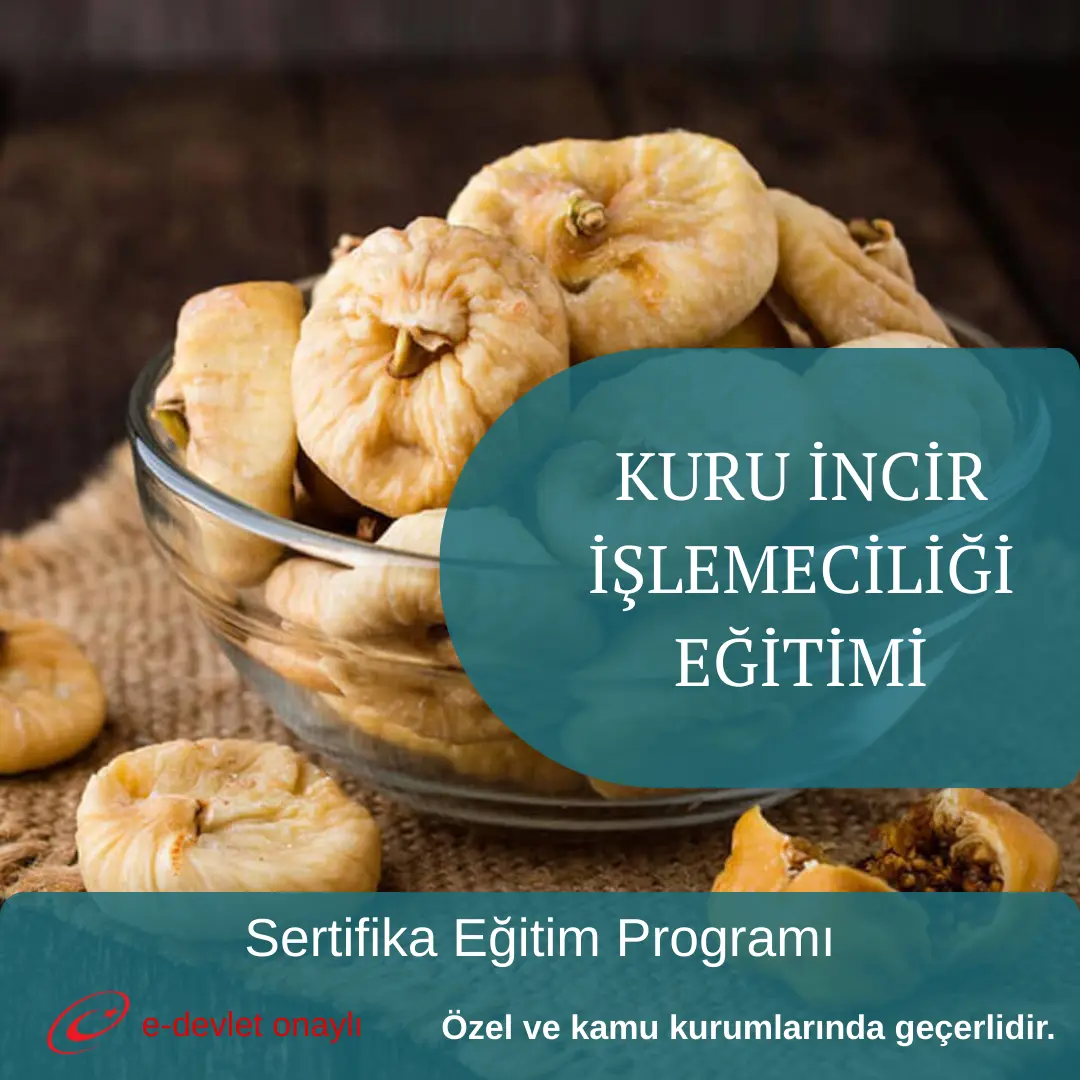 KURU İNCİR İŞLEMECİLİĞİ EĞİTİMİ
