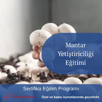 Mantar Yetiştiriciliği Eğitimi