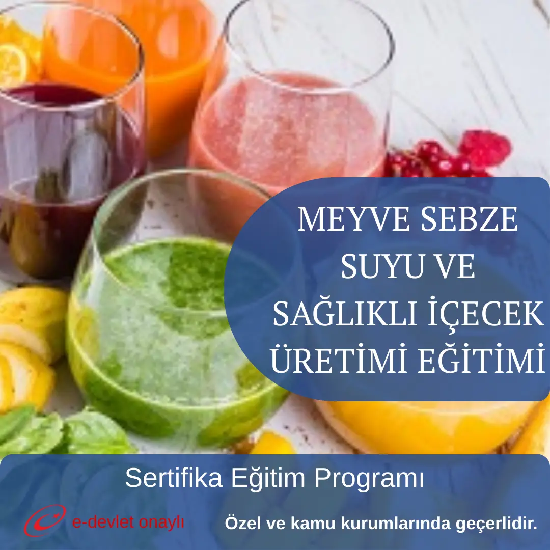 MEYVE SEBZE SUYU VE SAĞLIKLI İÇECEK ÜRETİMİ EĞİTİMİ