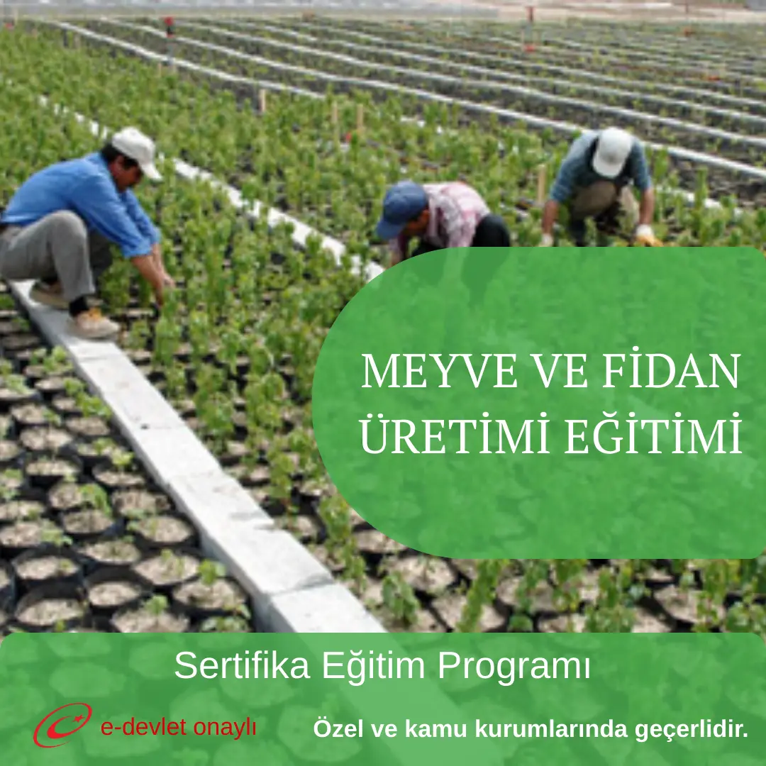 MEYVE VE FİDAN ÜRETİMİ EĞİTİMİ