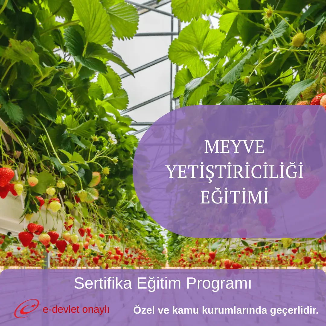 MEYVE YETİŞTİRİCİLİĞİ EĞİTİMİ