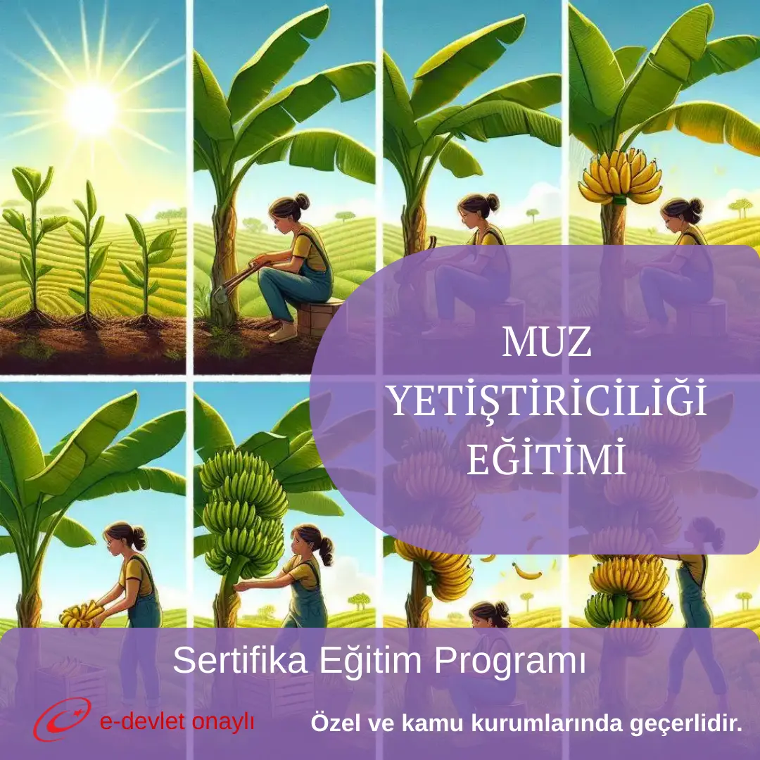 MUZ YETİŞTİRİCİLİĞİ EĞİTİMİ