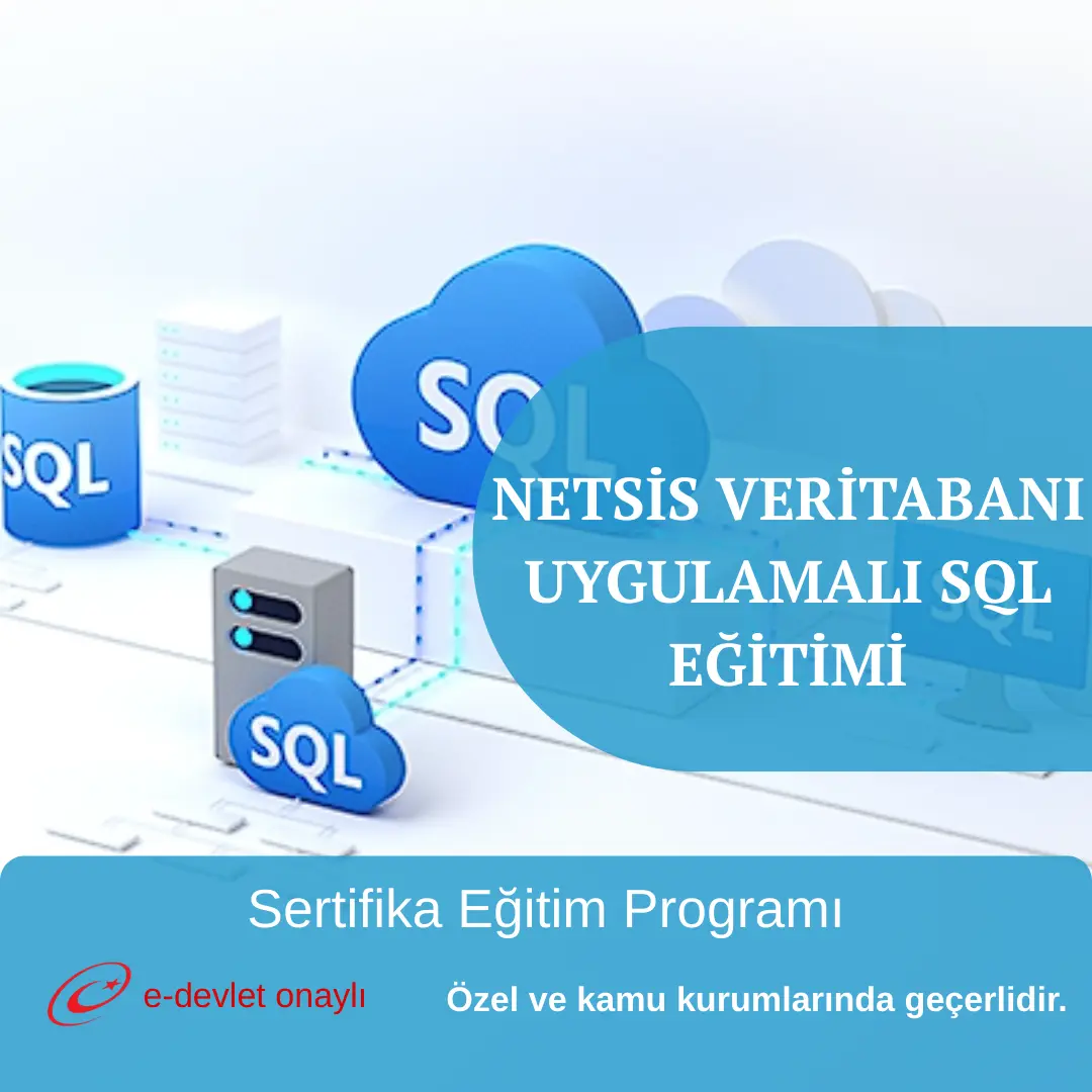 NETSİS VERİTABANI UYGULAMALI SQL EĞİTİMİ