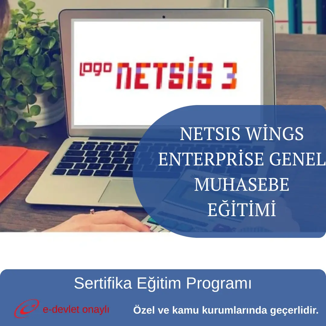 NETSIS WİNGS ENTERPRİSE GENEL MUHASEBE EĞİTİMİ