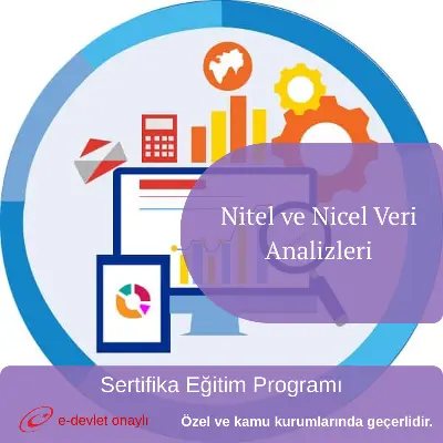 Nitel ve Nicel Veri Analizleri
