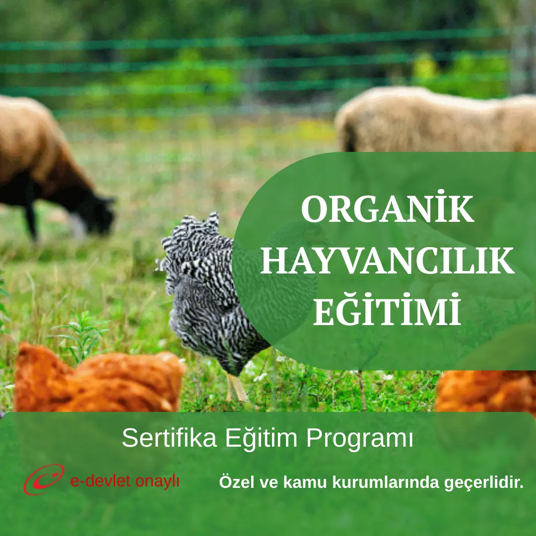ORGANİK HAYVANCILIK EĞİTİMİ